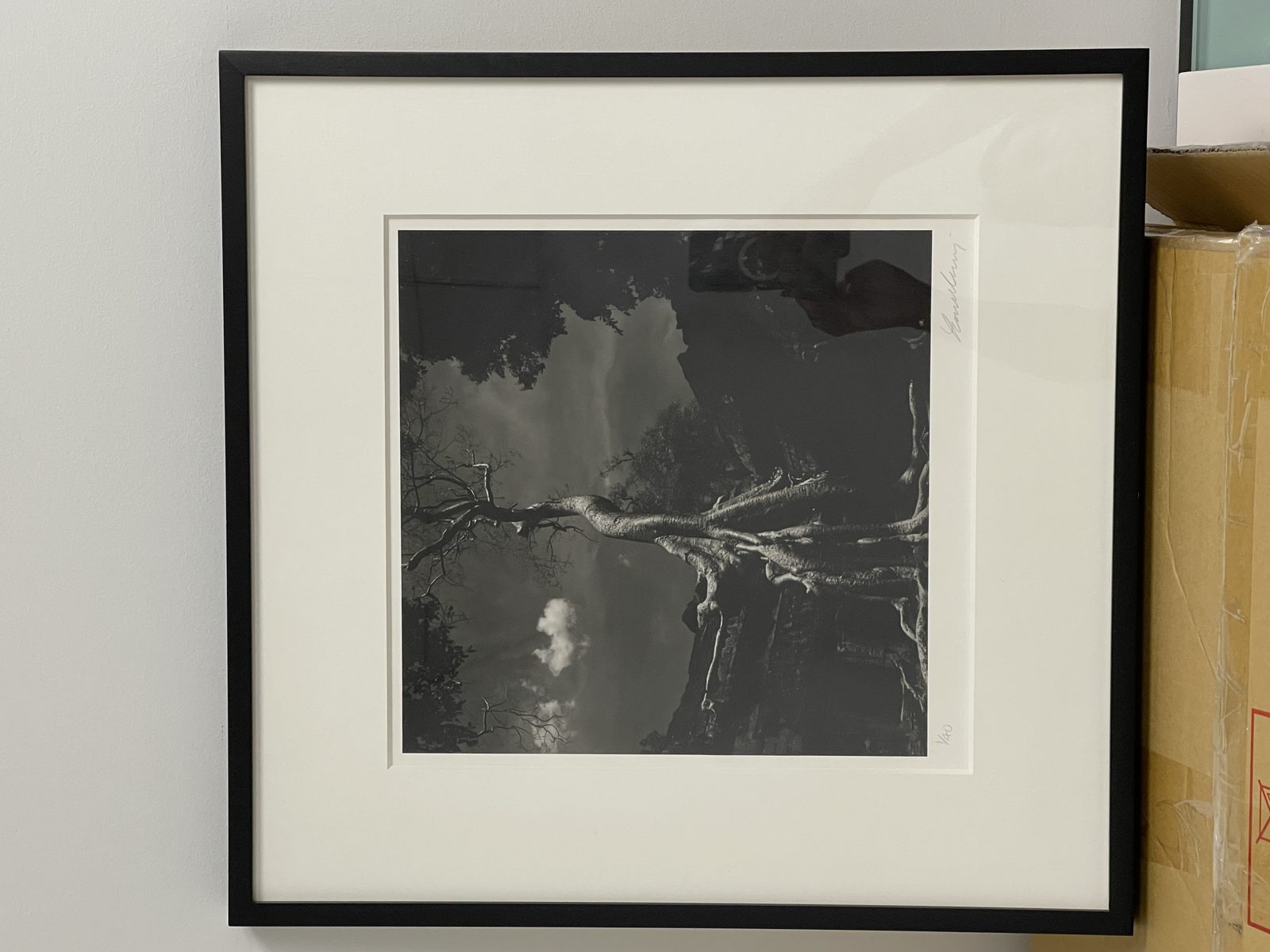 James Welling